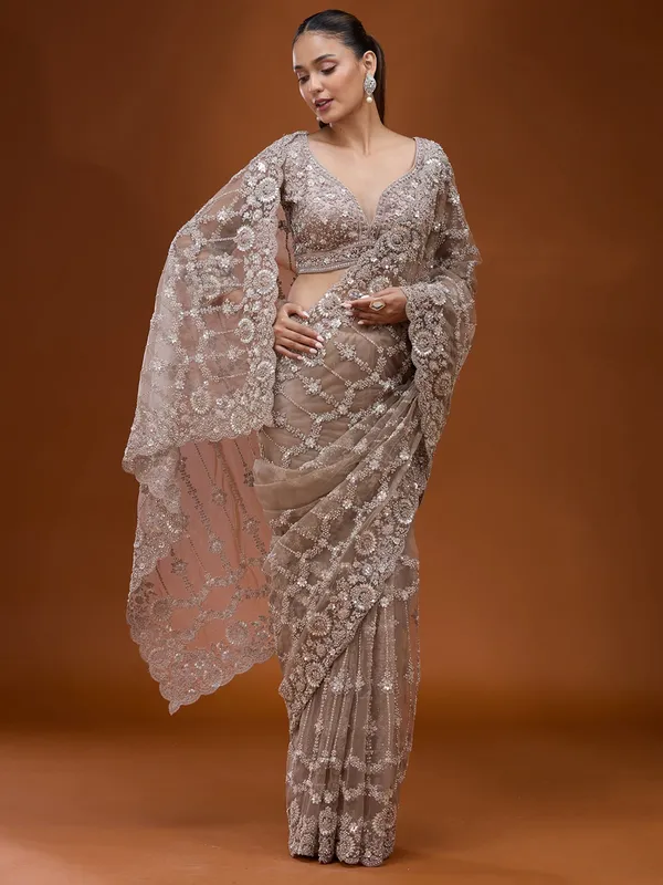 Beige_Cording_Net_Saree