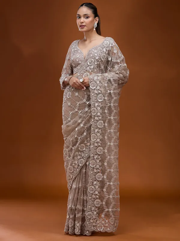 Beige_Cording_Net_Saree