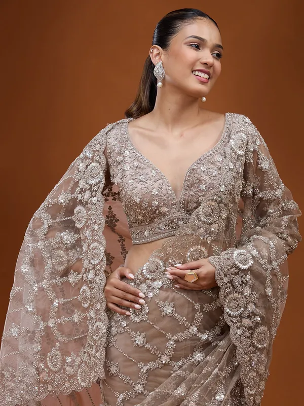 Beige_Cording_Net_Saree