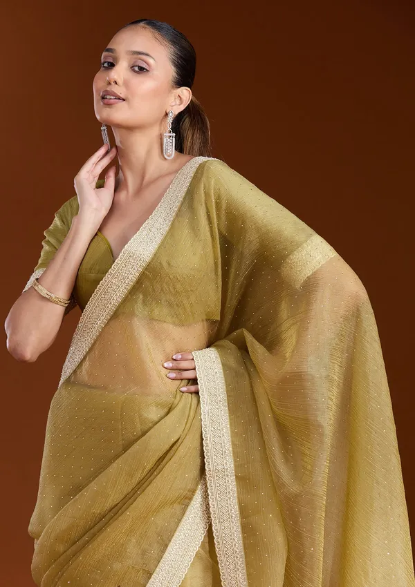 Mehendi_Zariwork_Gold_Tissue_Saree