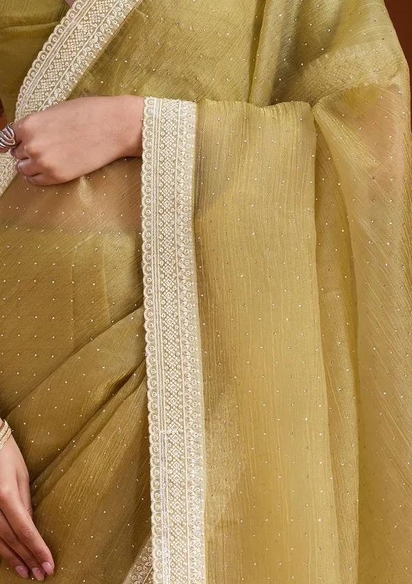 Mehendi_Zariwork_Gold_Tissue_Saree