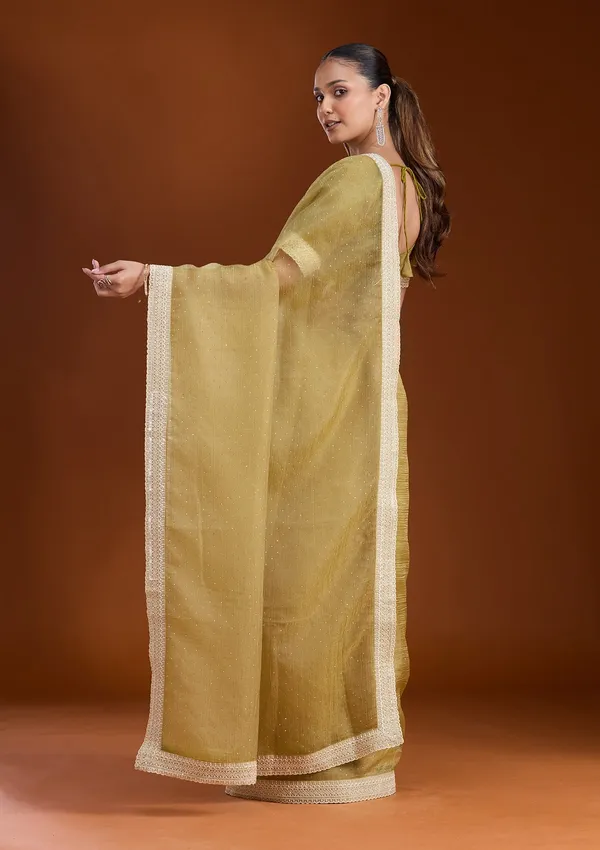 Mehendi_Zariwork_Gold_Tissue_Saree