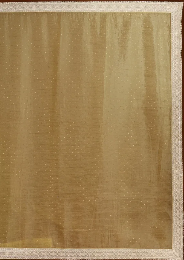 Mehendi_Zariwork_Gold_Tissue_Saree