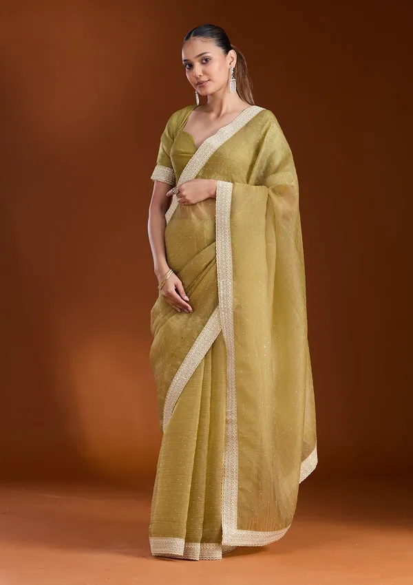 Mehendi_Zariwork_Gold_Tissue_Saree