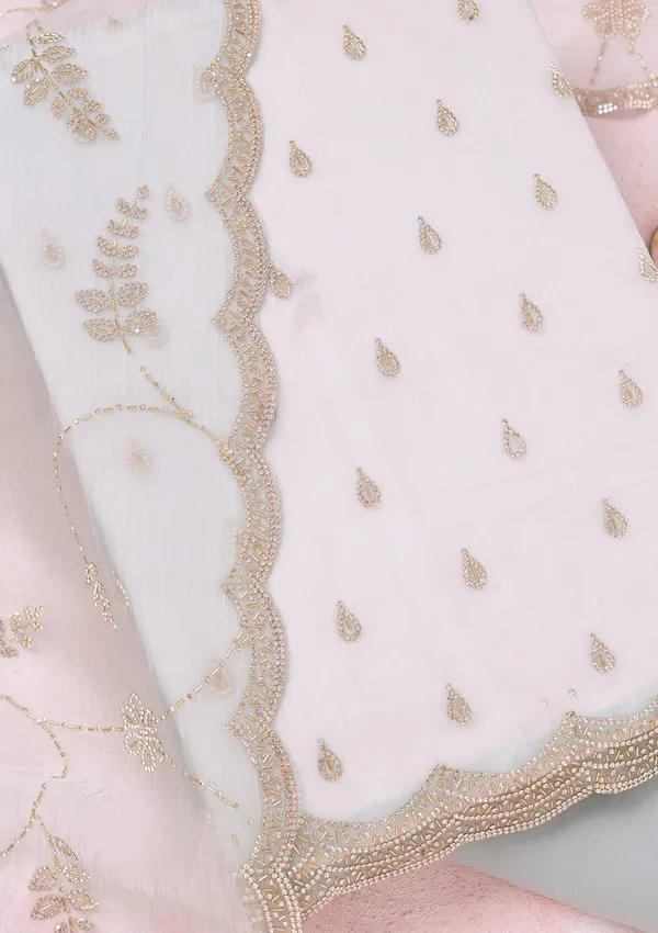 Sky_Blue_Zariwork_Gold_Tissue_Unstitched_Salwar_Suit