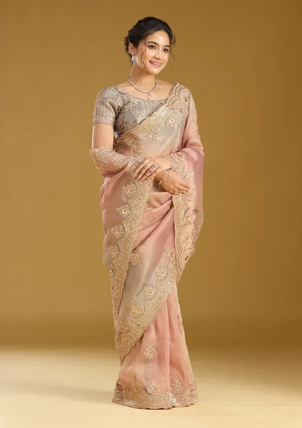 Rust_Sequins_Organza_Saree