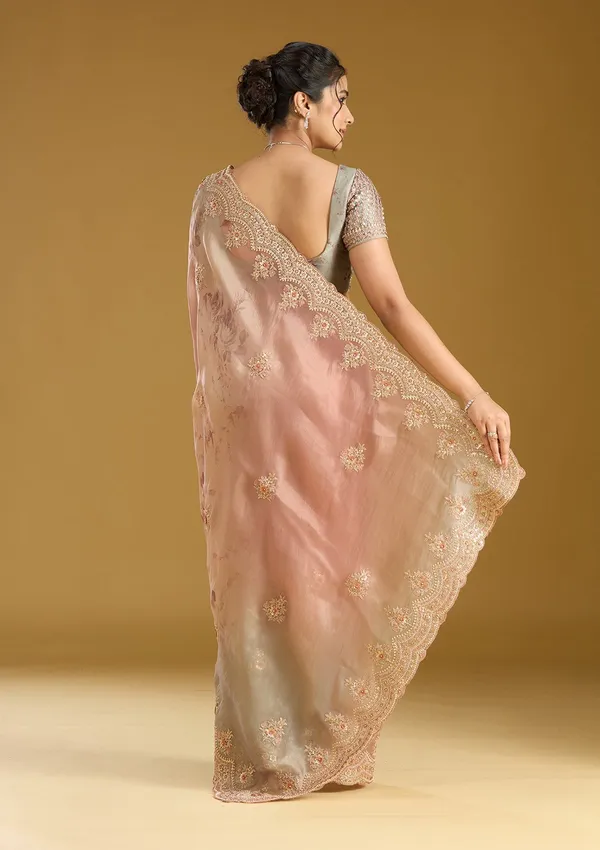 Rust_Sequins_Organza_Saree