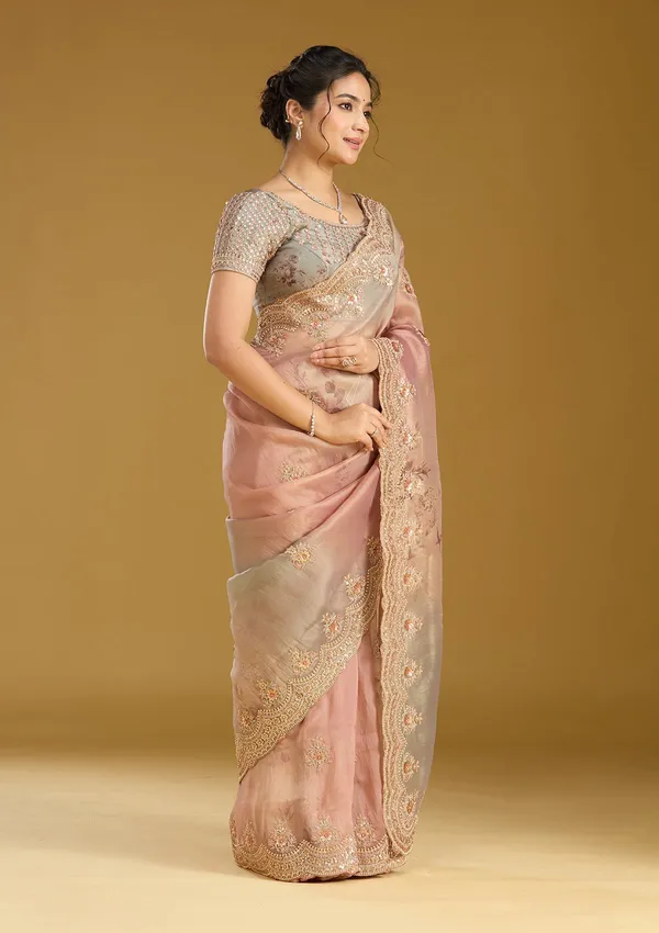 Rust_Sequins_Organza_Saree