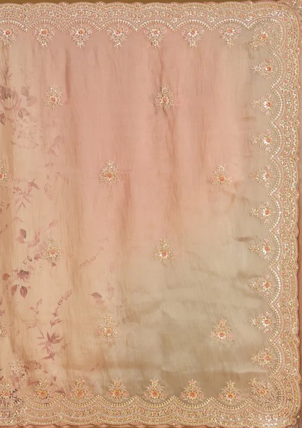 Rust_Sequins_Organza_Saree