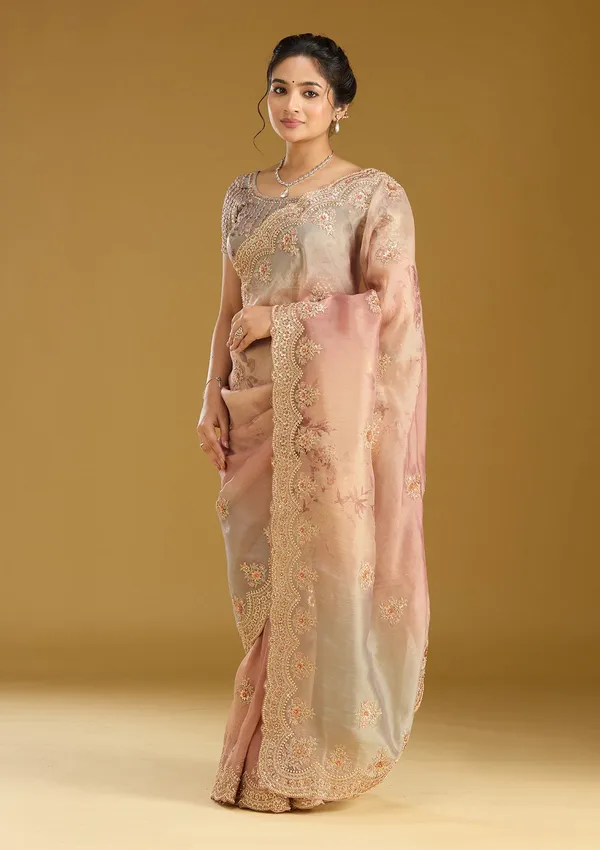 Rust_Sequins_Organza_Saree