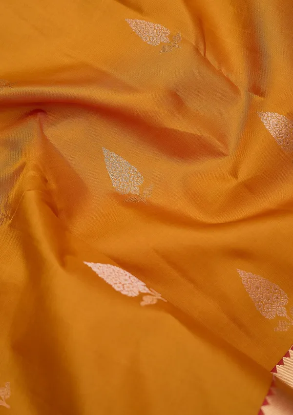 Mustard_Zariwork_Gold_Pure_Silk_Silk_Saree