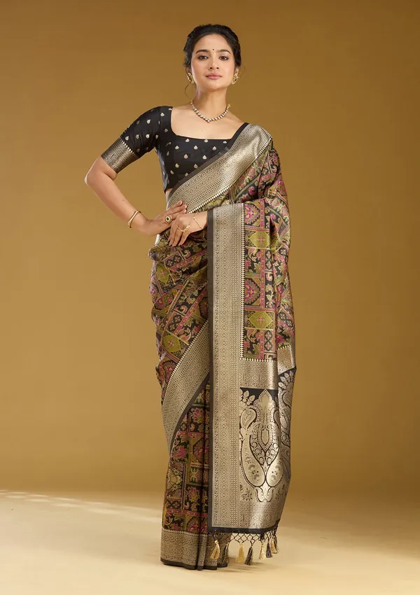 Black_Zariwork_Silver_Art_Silk_Silk_Saree