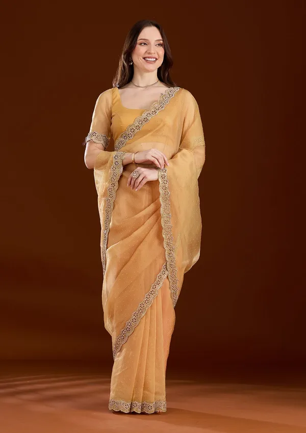 Gold_Cutdana_Tissue_Saree