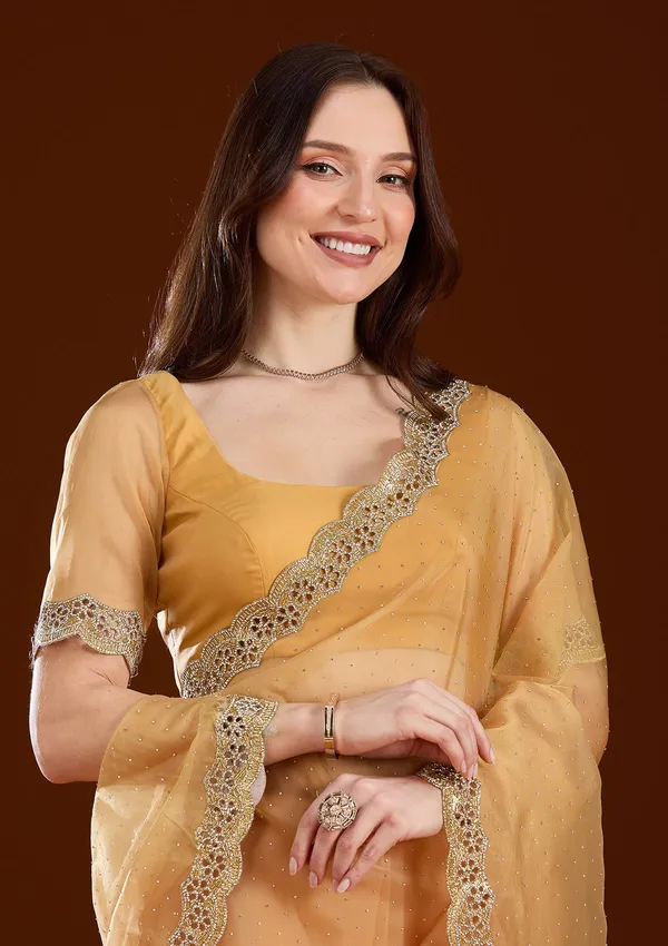 Gold_Cutdana_Tissue_Saree
