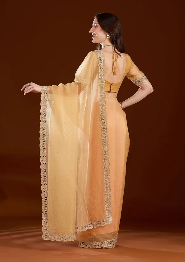 Gold_Cutdana_Tissue_Saree