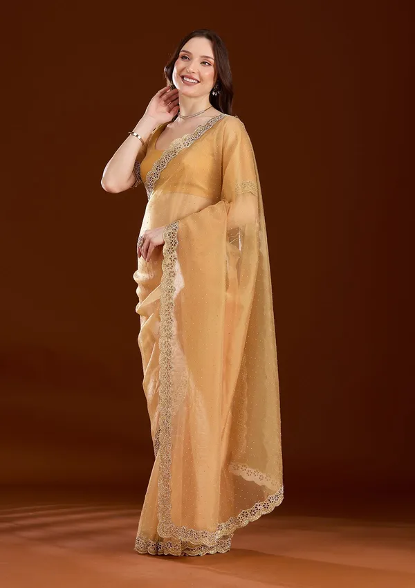 Gold_Cutdana_Tissue_Saree