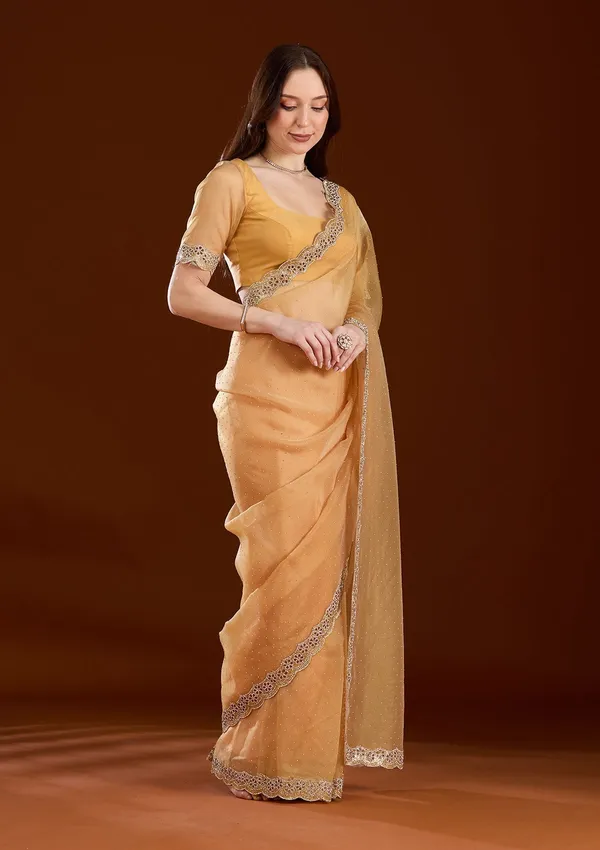 Gold_Cutdana_Tissue_Saree