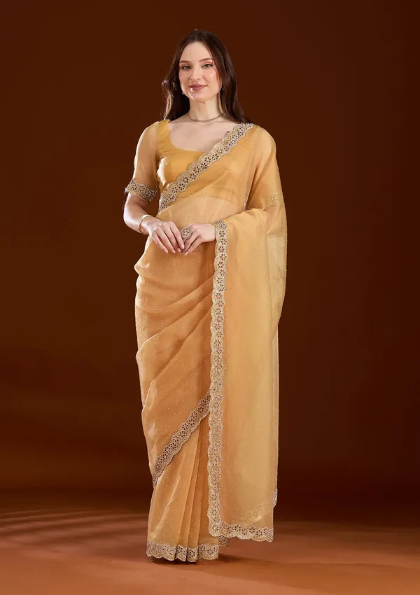 Gold_Cutdana_Tissue_Saree