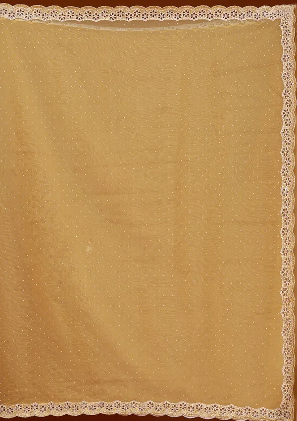 Gold_Cutdana_Tissue_Saree