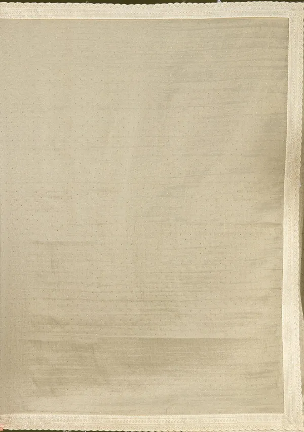Beige_Zariwork_Gold_Tissue_Saree