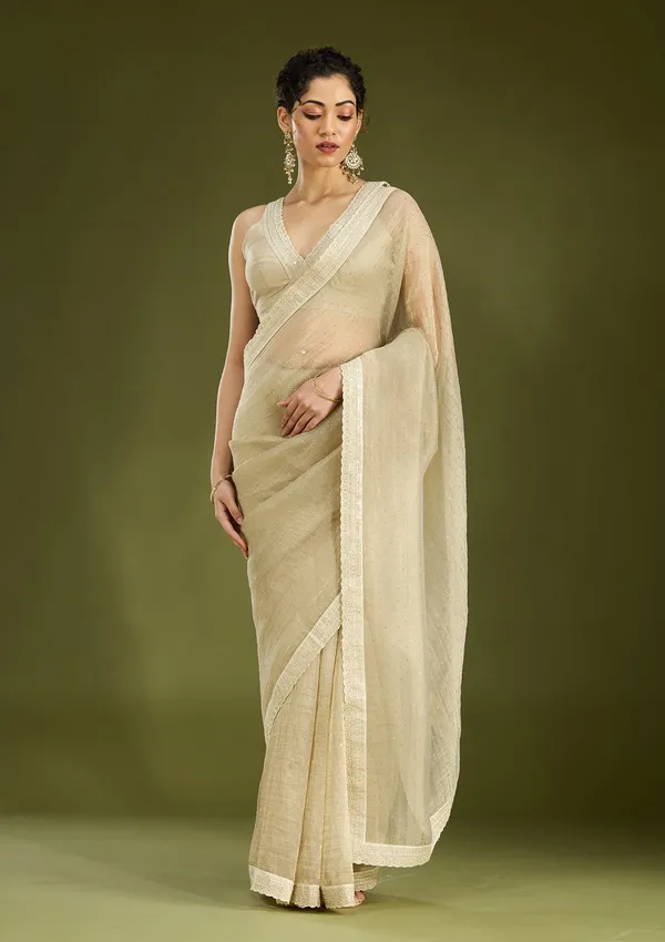 Beige_Zariwork_Gold_Tissue_Saree