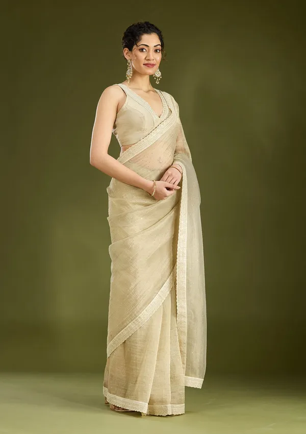 Beige_Zariwork_Gold_Tissue_Saree