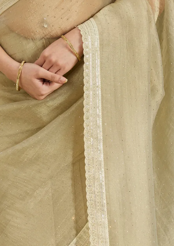 Beige_Zariwork_Gold_Tissue_Saree