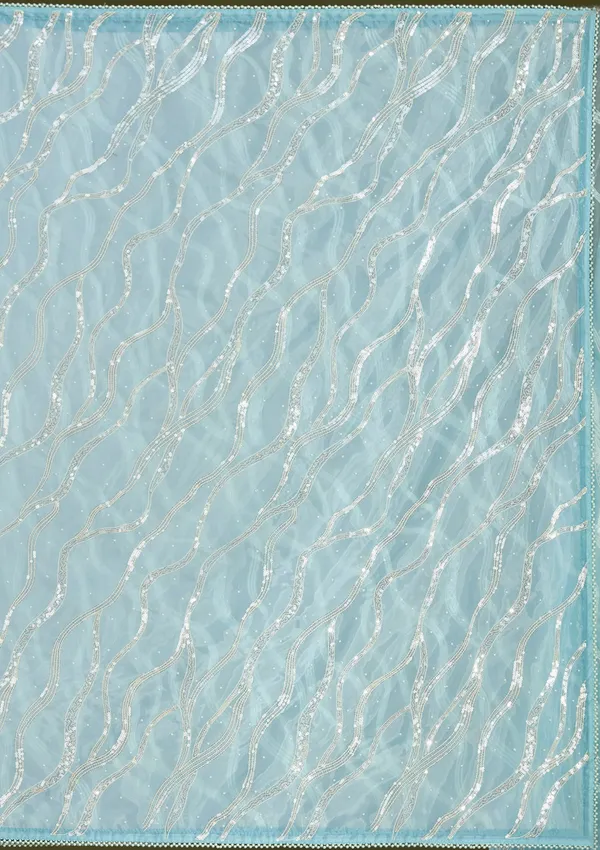 Sky_Blue_Pearlwork_Organza_Saree