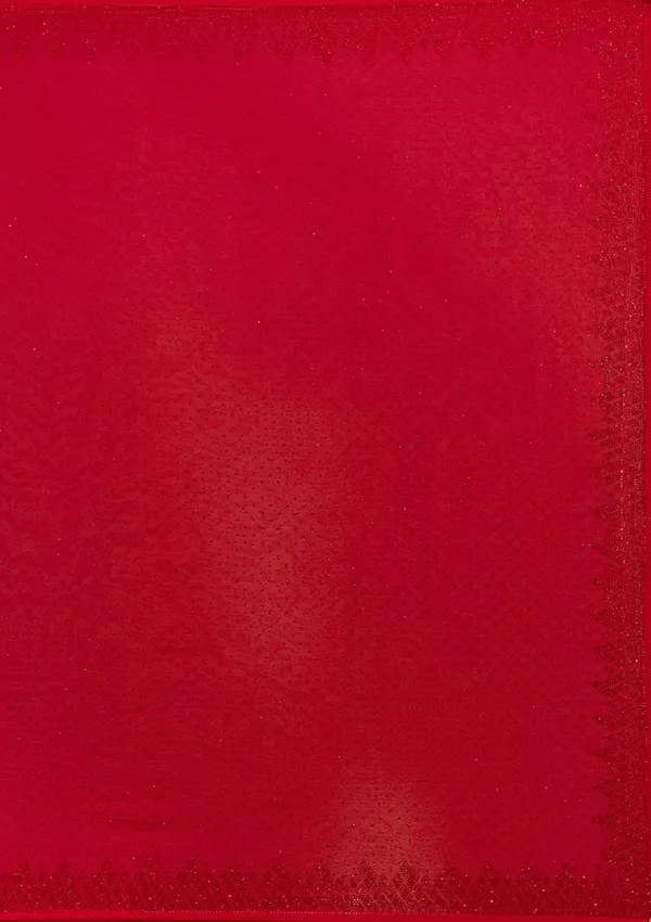Red_Swarovski_Georgette_Saree