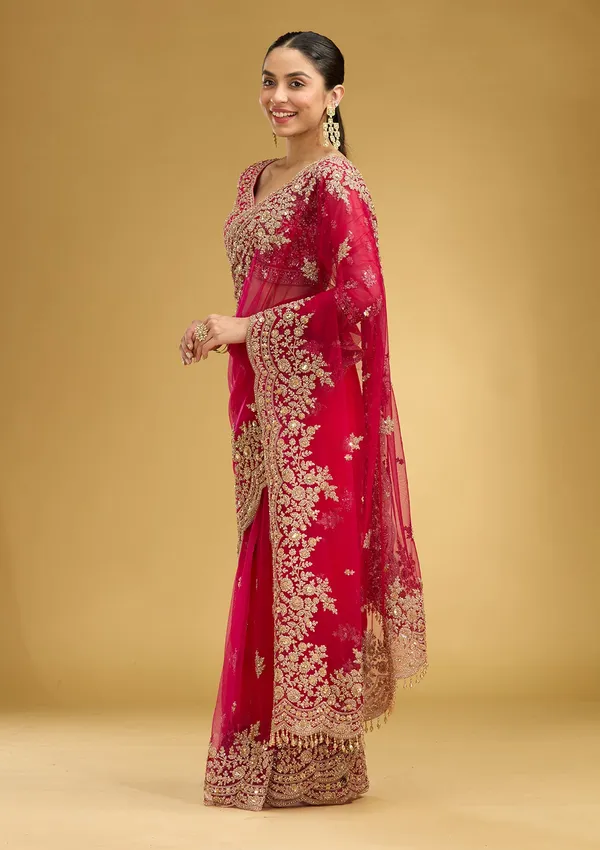 Rani_Pink_Zariwork_Gold_Net_Saree