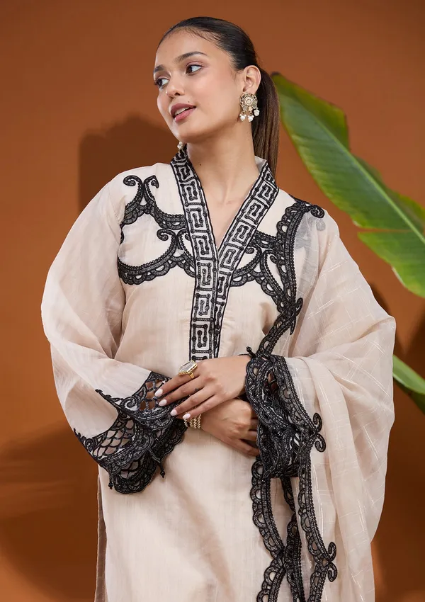 Beige_Threadwork_Tissue_Readymade_Salwar_Suit