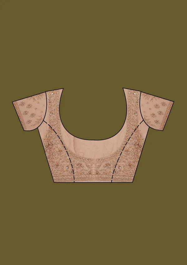 Beige_Zariwork_Gold_Net_Saree
