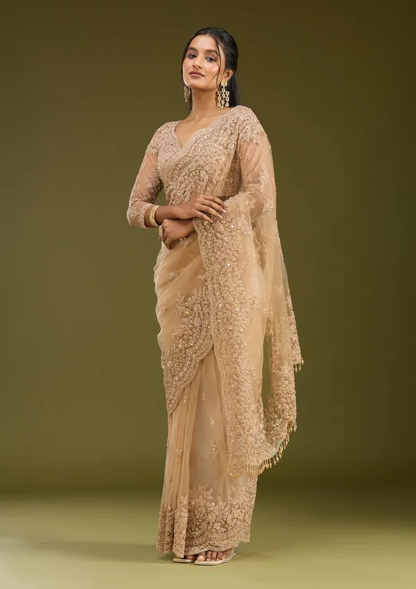 Beige_Zariwork_Gold_Net_Saree