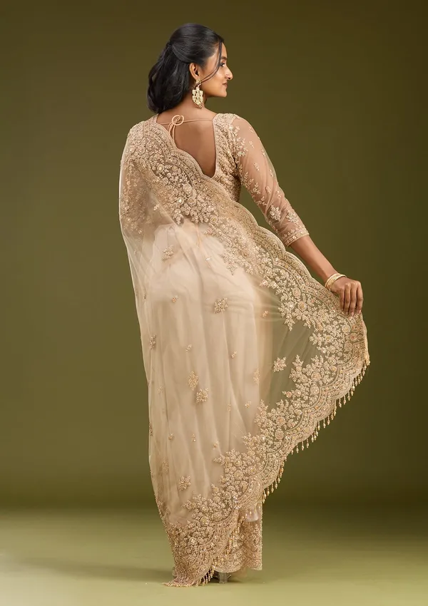 Beige_Zariwork_Gold_Net_Saree