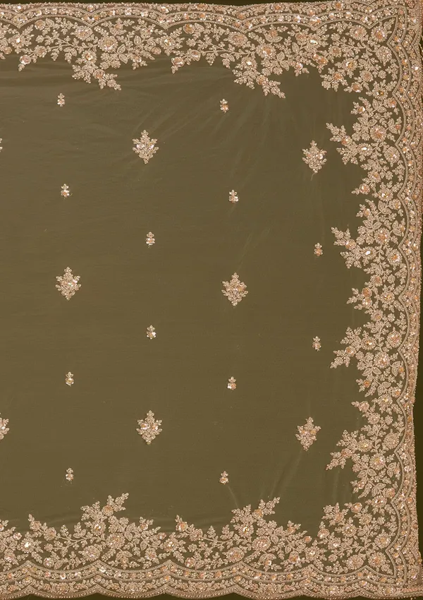 Beige_Zariwork_Gold_Net_Saree