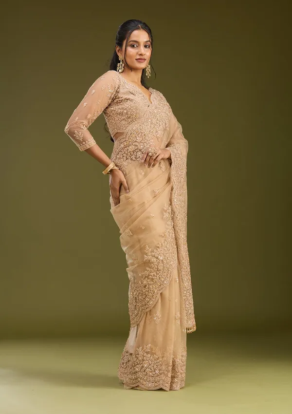 Beige_Zariwork_Gold_Net_Saree