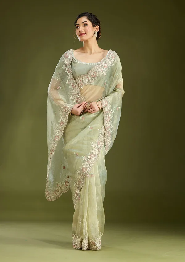 Pista_Green_Sequins_Tissue_Saree
