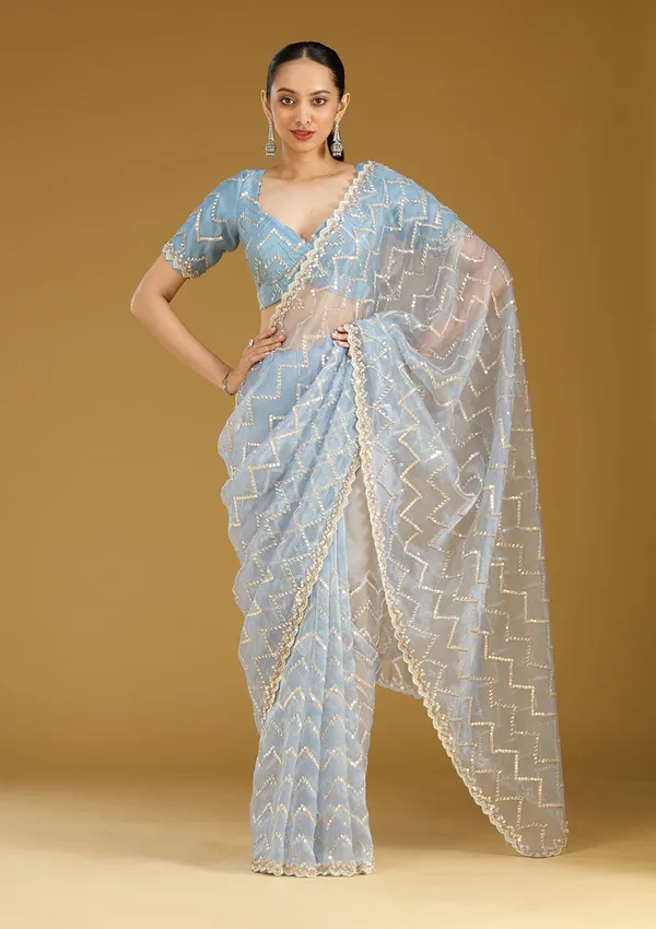 Light_Grey_Sequins_Organza_Saree