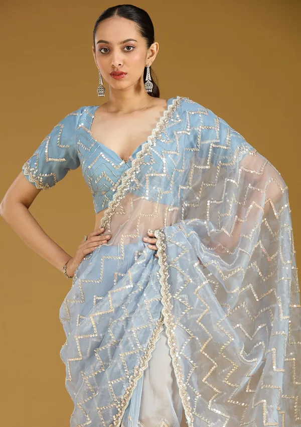 Light_Grey_Sequins_Organza_Saree