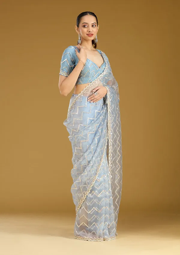 Light_Grey_Sequins_Organza_Saree