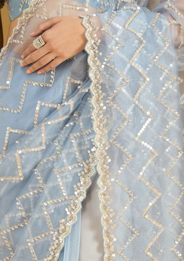 Light_Grey_Sequins_Organza_Saree