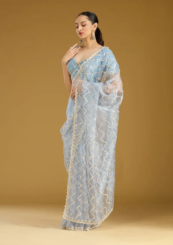 Light_Grey_Sequins_Organza_Saree
