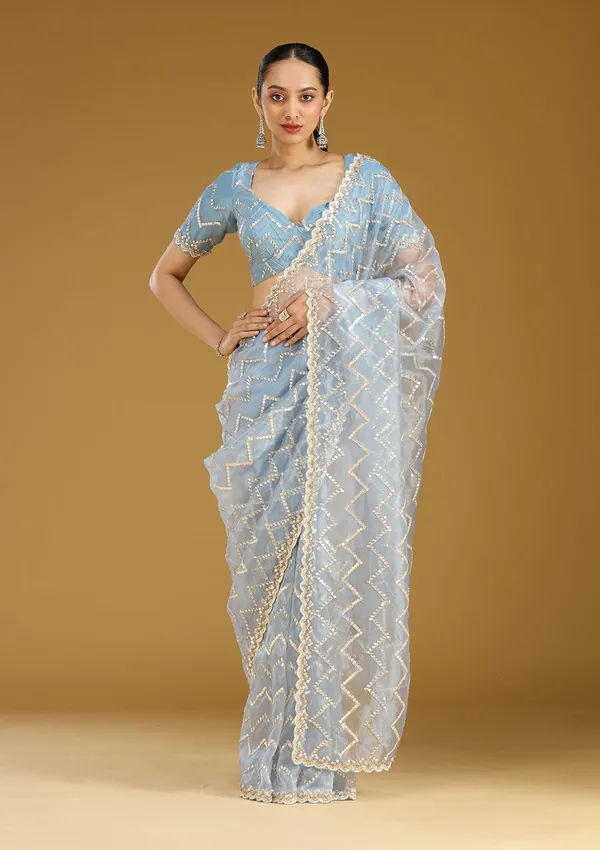 Light_Grey_Sequins_Organza_Saree
