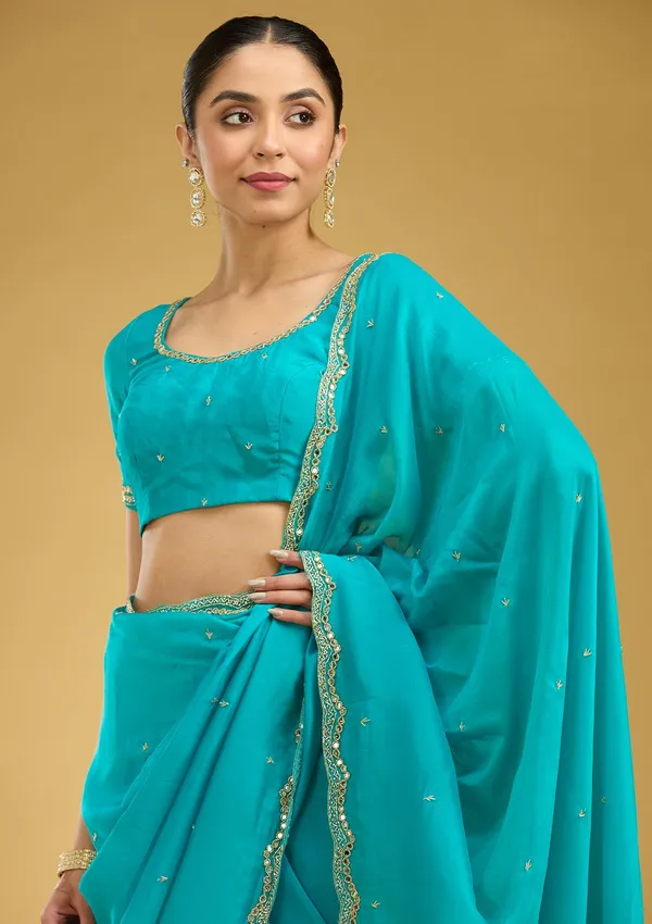 Blue_Cutwork_Tissue_Saree