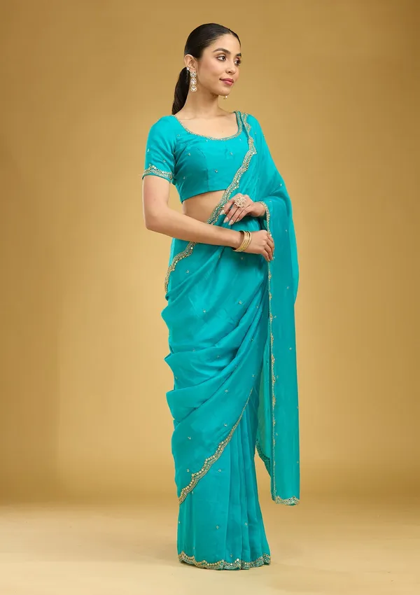 Blue_Cutwork_Tissue_Saree
