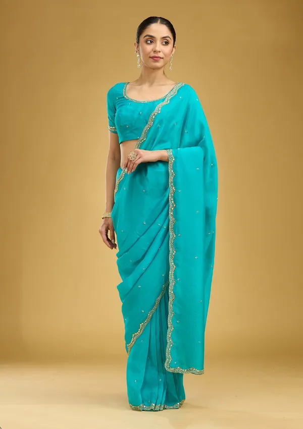 Blue_Cutwork_Tissue_Saree