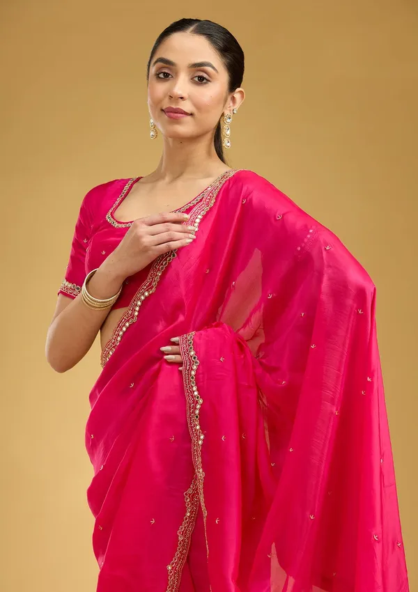 Rani_Pink_Cutwork_Tissue_Saree