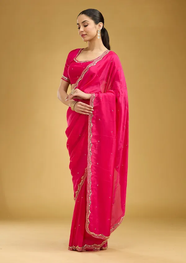 Rani_Pink_Cutwork_Tissue_Saree
