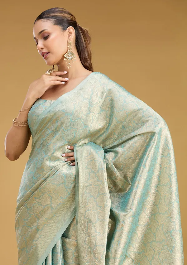 Sky_Blue_Zariwork_Gold_Tissue_Silk_Saree