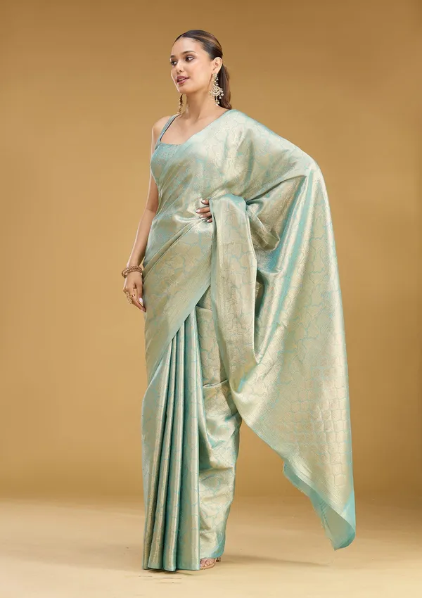 Sky_Blue_Zariwork_Gold_Tissue_Silk_Saree